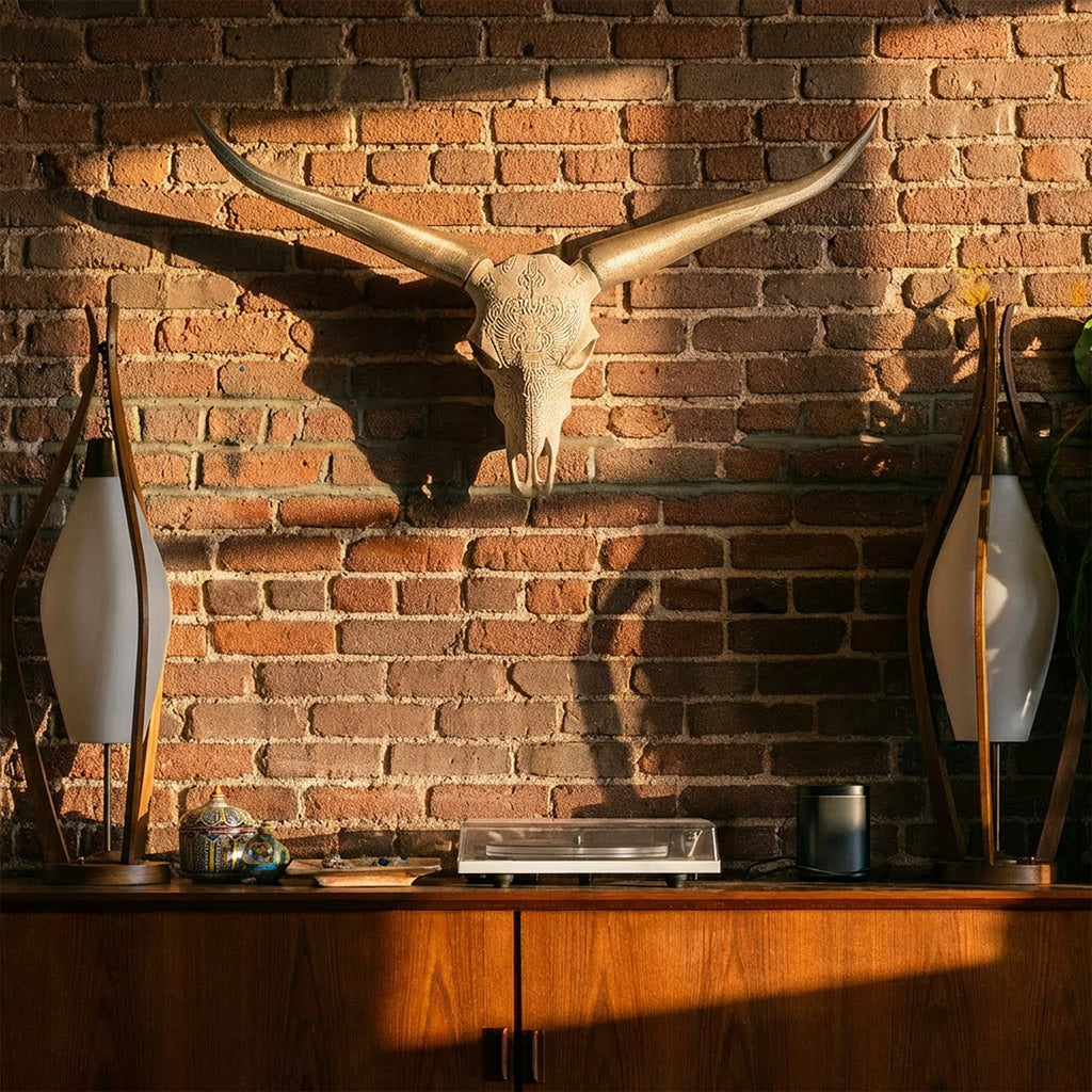 Decorative Steer Horns and Skull