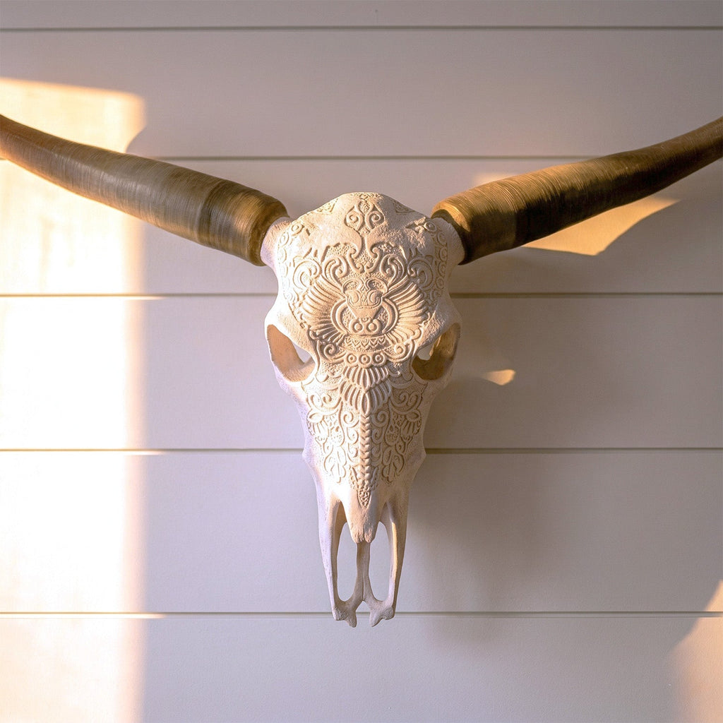 Decorative Steer Horns and Skull