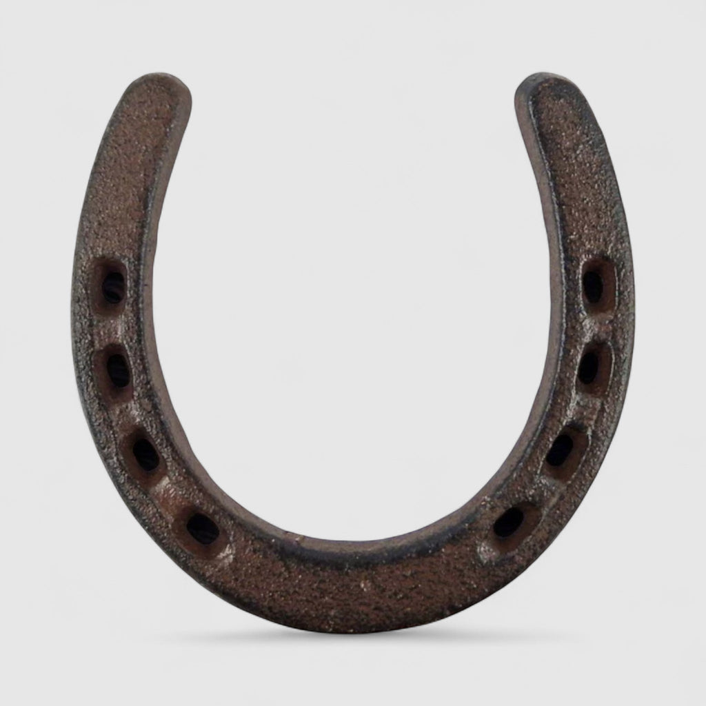 Horseshoe Wall Plaque, Cast Iron Western Good Luck Wall Decor