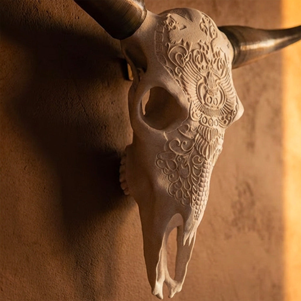 Decorative Steer Horns and Skull